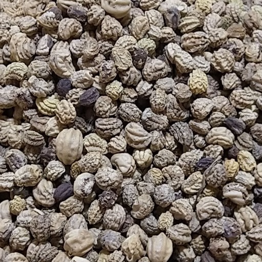 بخور لادن (۱۰گرم)